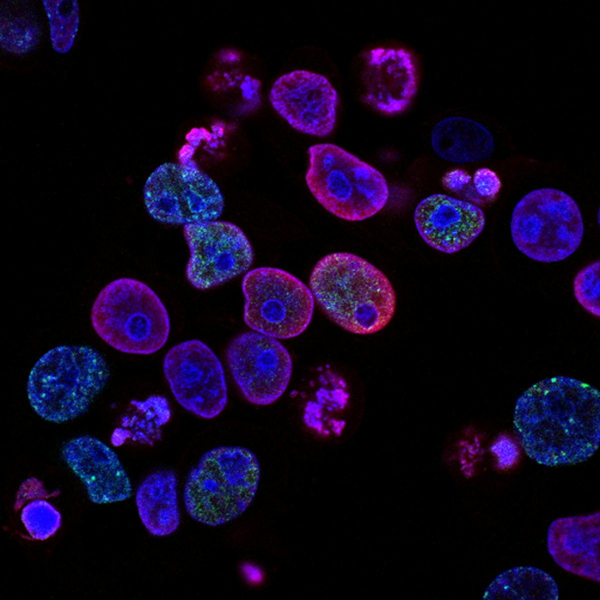 Investigación científica
